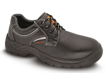 2885-S1 WIENNA_small