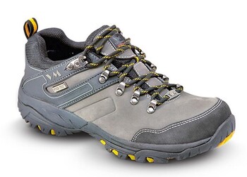 4315-O2 HAVANA_small