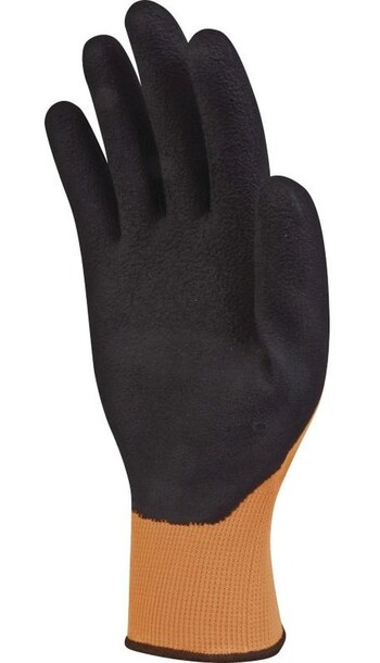 APOLLON OR VV733OR P