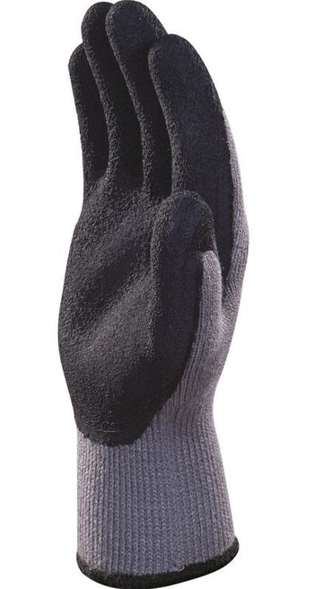 APOLLON WINTER GR VV735GR P