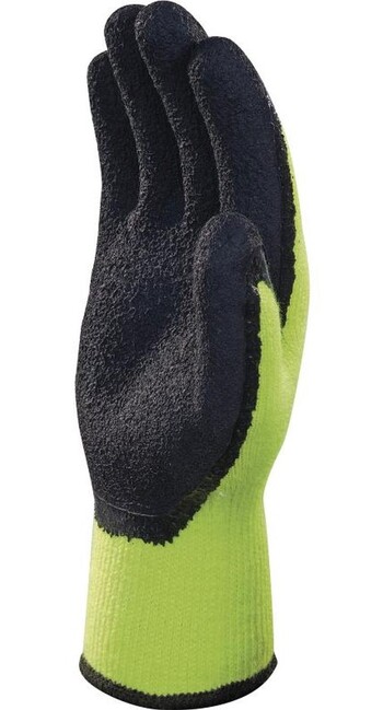 APOLLON WINTER JA VV735JA P