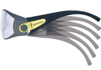 DOC_DELTA_PACAYA CLEAR zarms